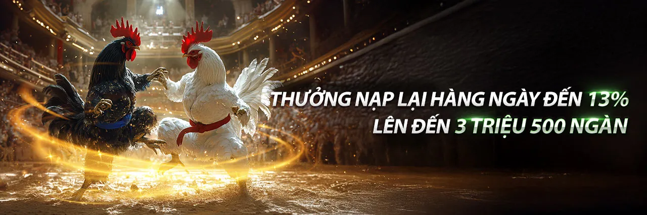 Sân chơi đá gà trực tuyến 123b Game